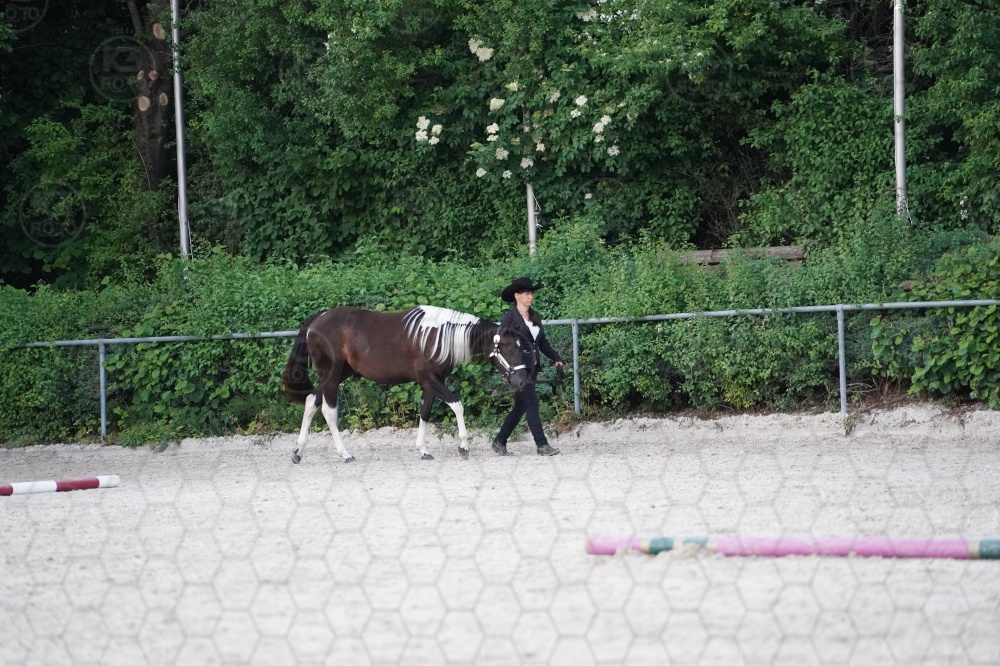 s_A9_05383.jpg